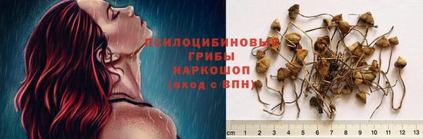 герыч Кулебаки