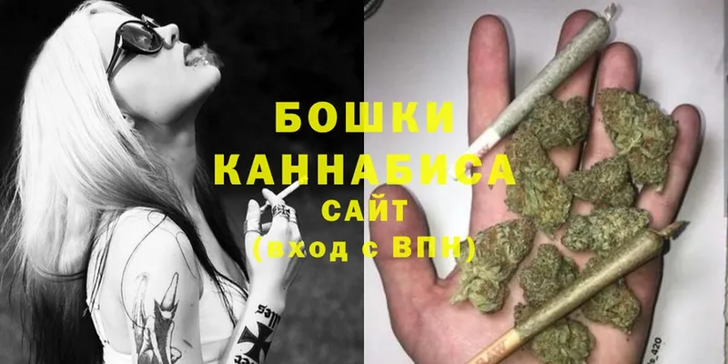 Канабис SATIVA & INDICA  наркотики  Курильск 